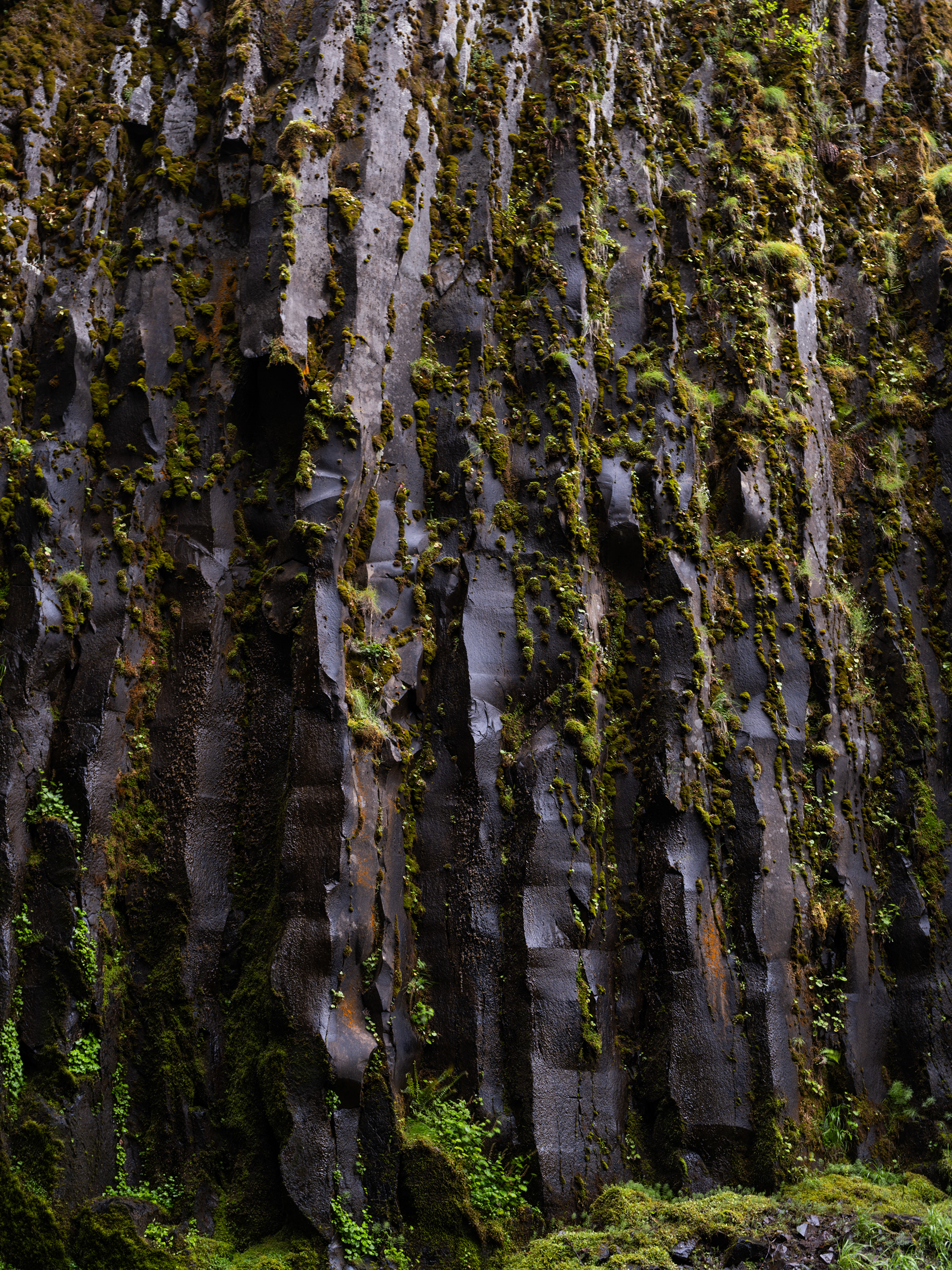 Basalt Columns