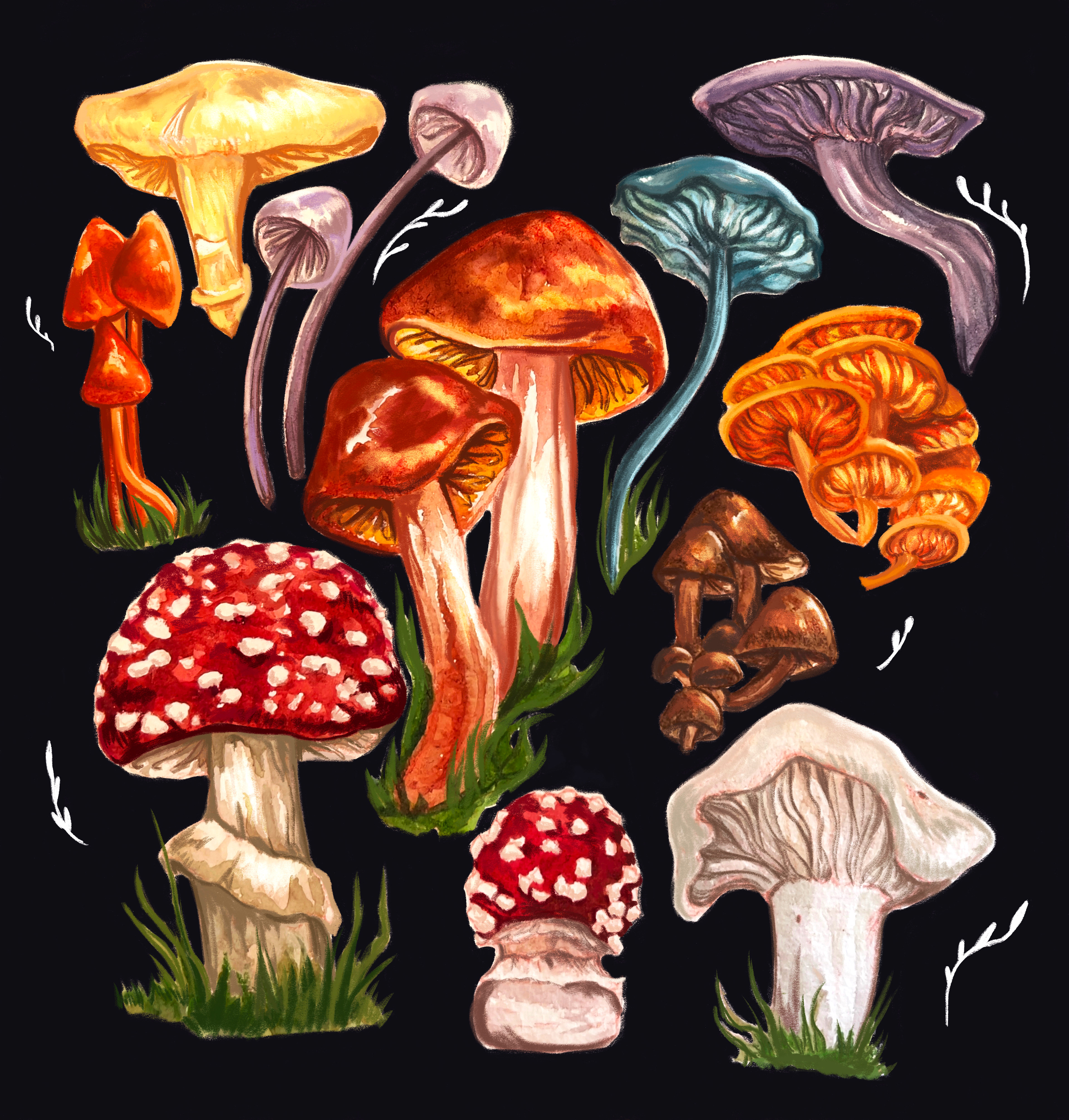 'Mushroom Garden' 2023 Mixmedia