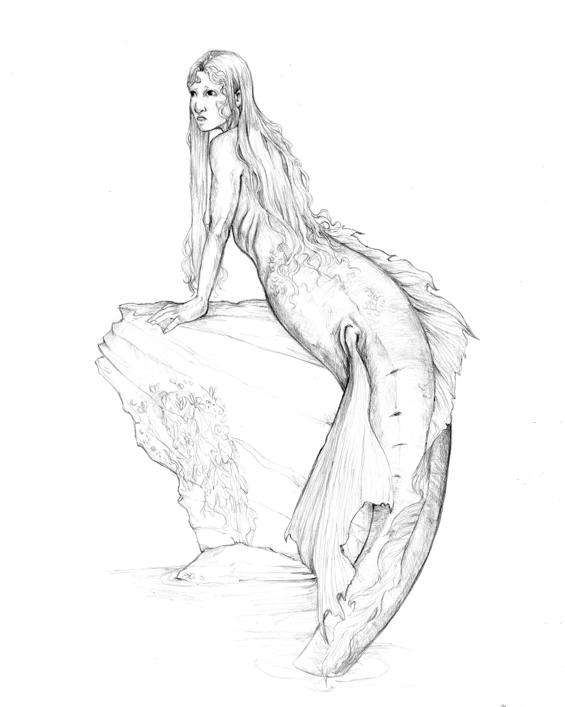 'The Little Mermaid'- From the Little Mermaid picture book (graphite 2019)