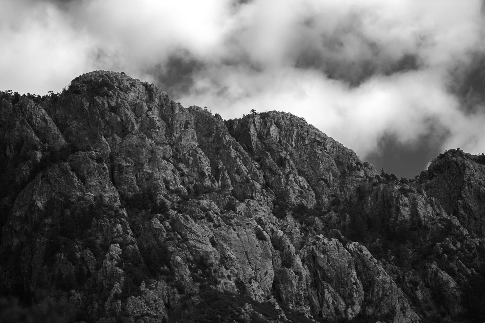 Santa Rita Cliffs