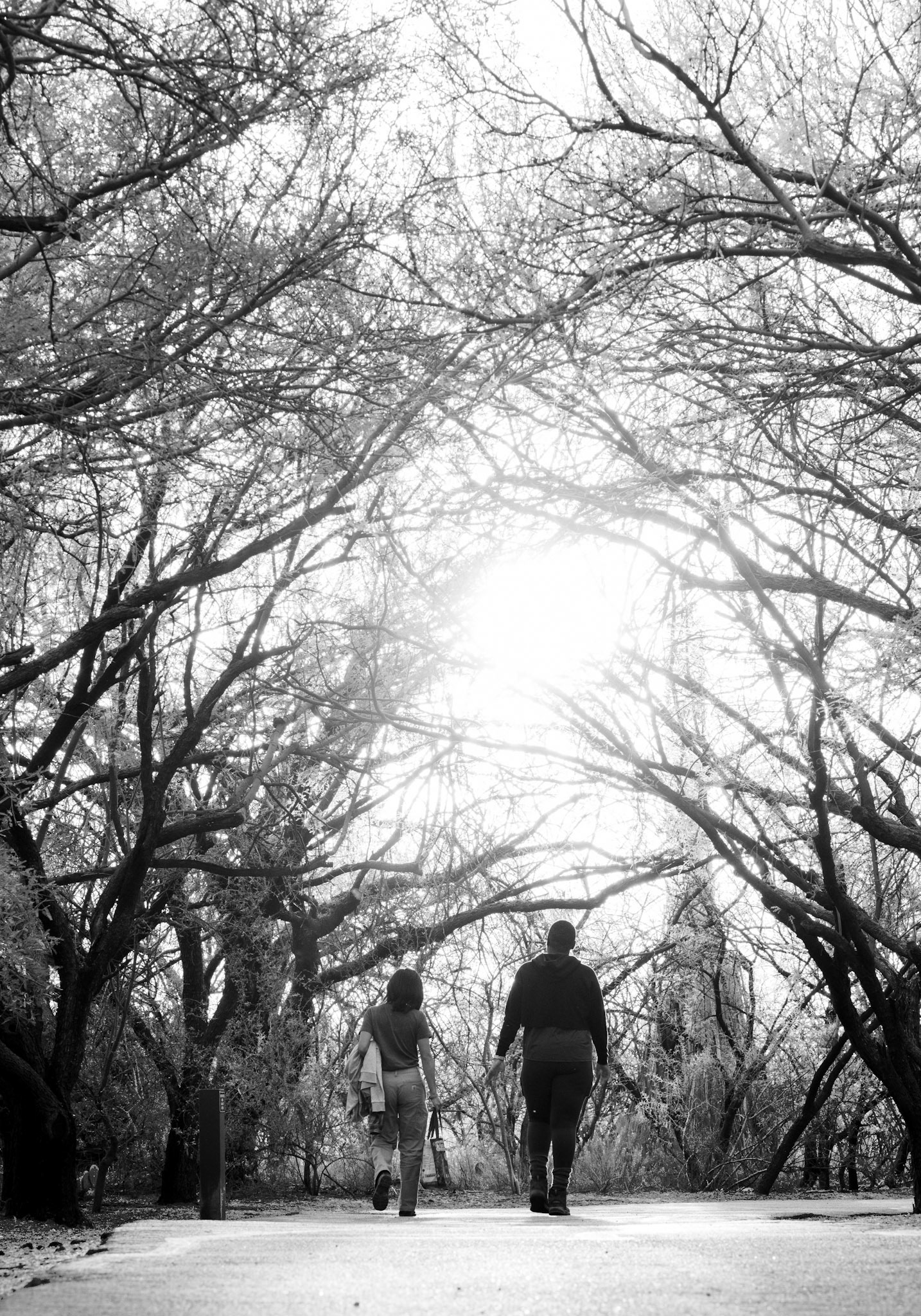 Birders