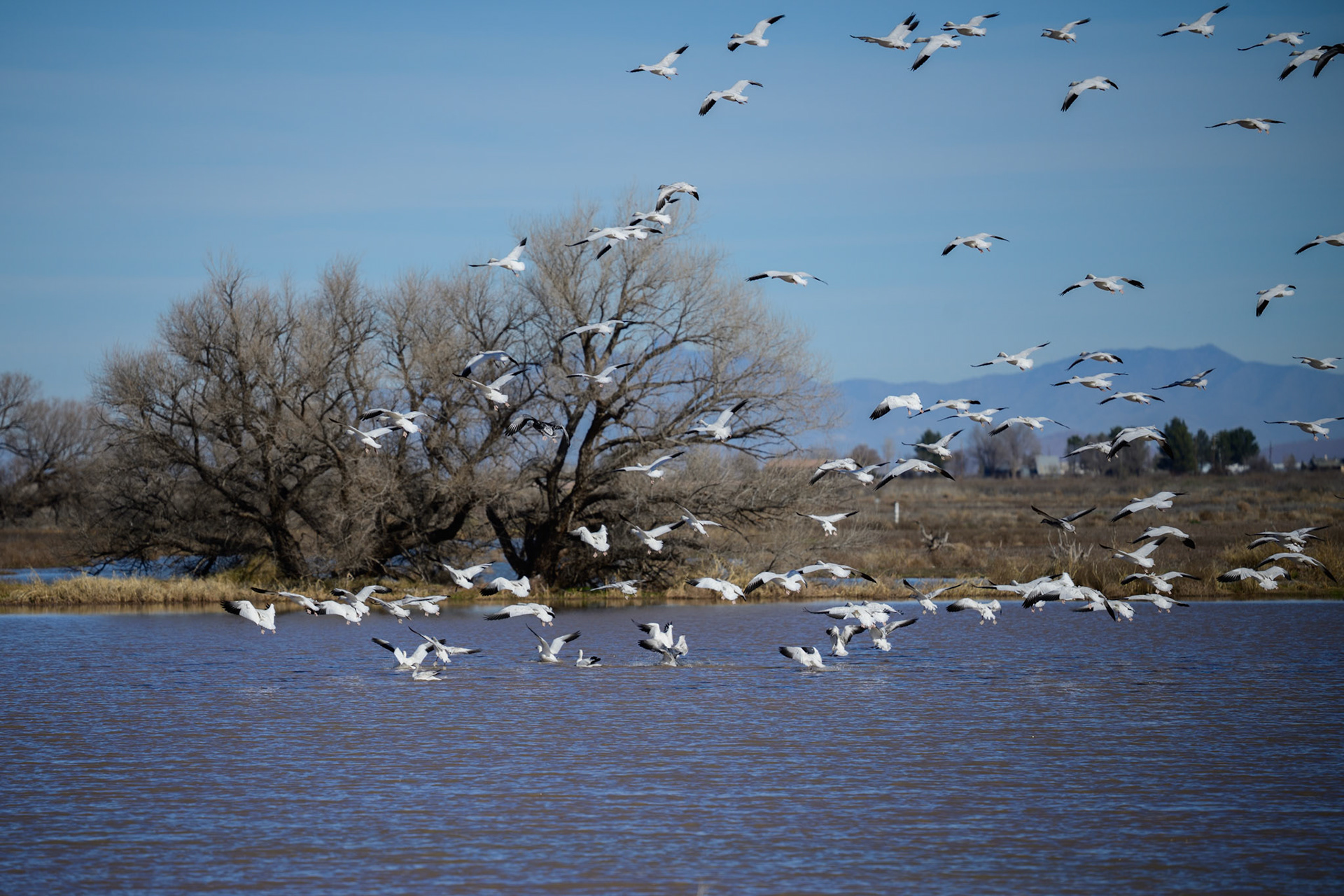 Landing Zone