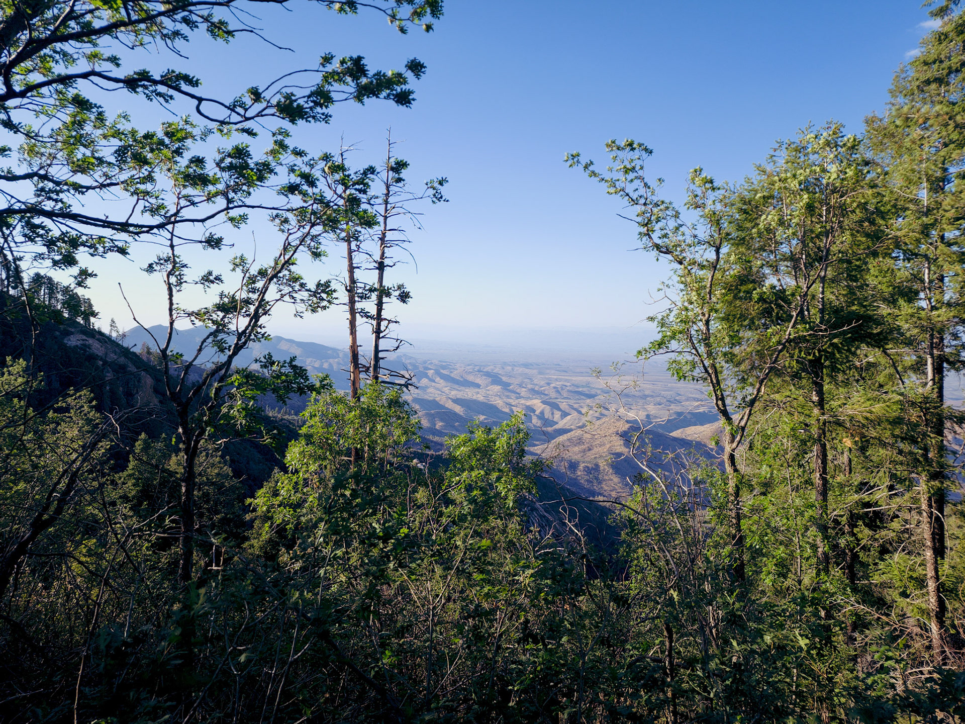 Window into the Expanse