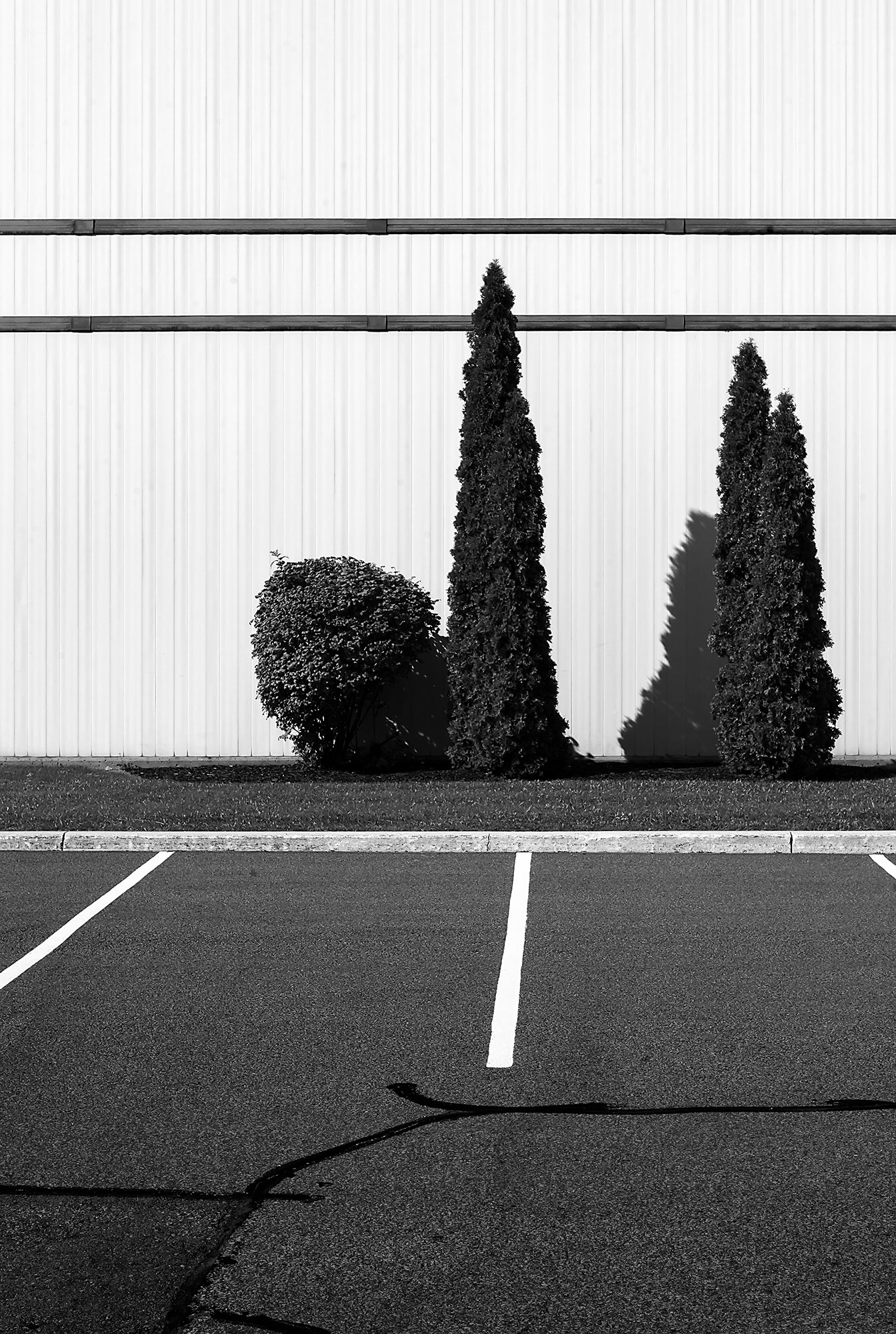 Parking Lot Crossing