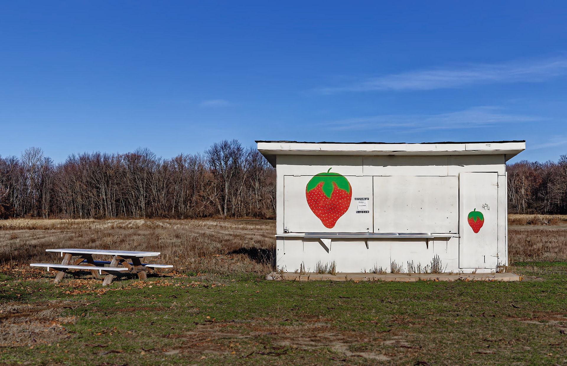 Strawberry Stand