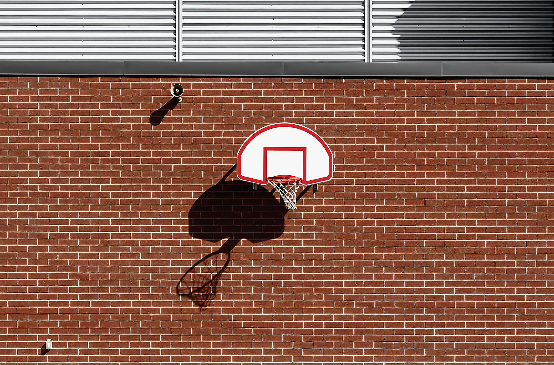 Basketball net