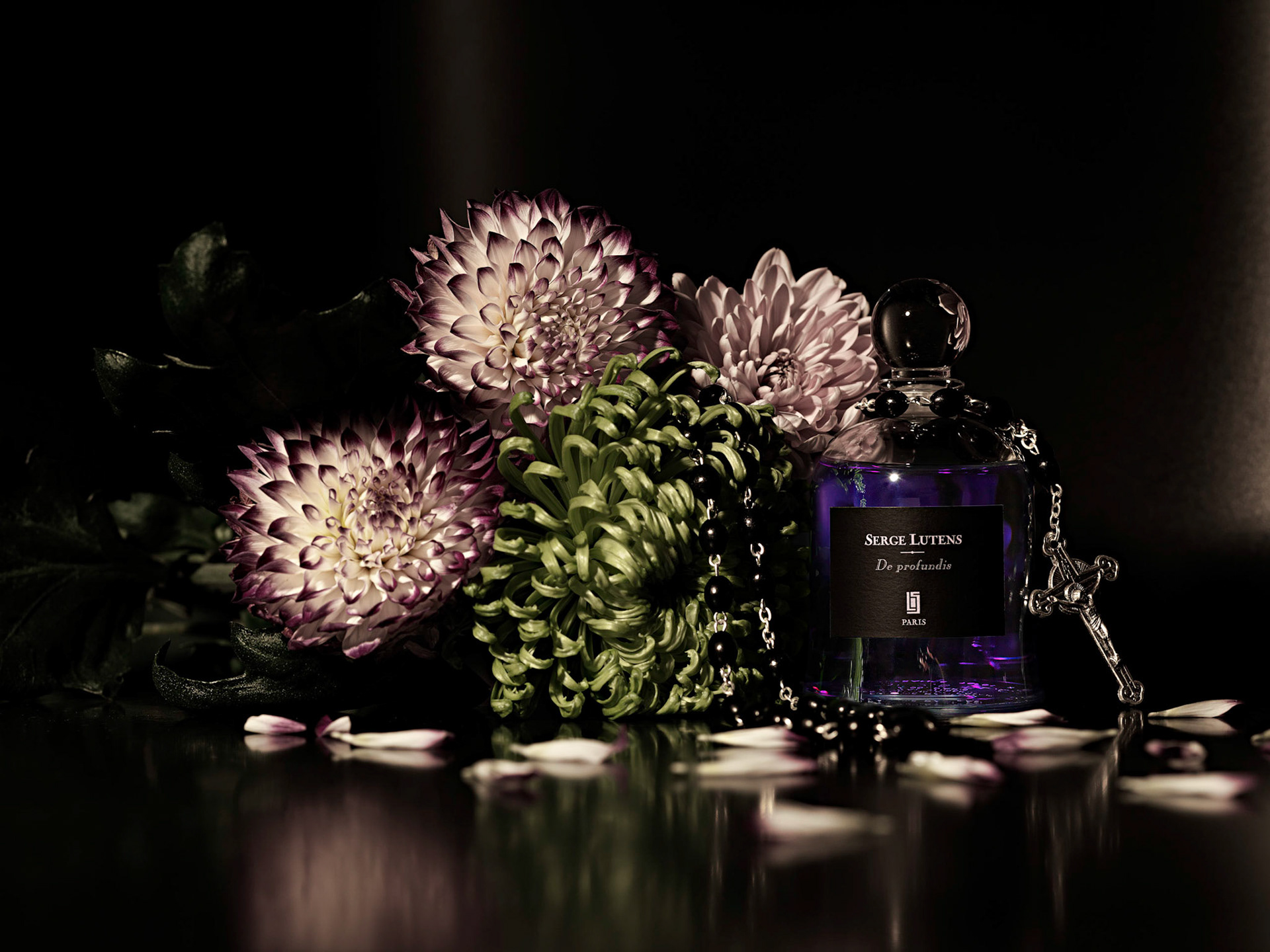 Editorial for Class of its Own. The perfume is surrounded by it’s ingredients and was inspired by death.