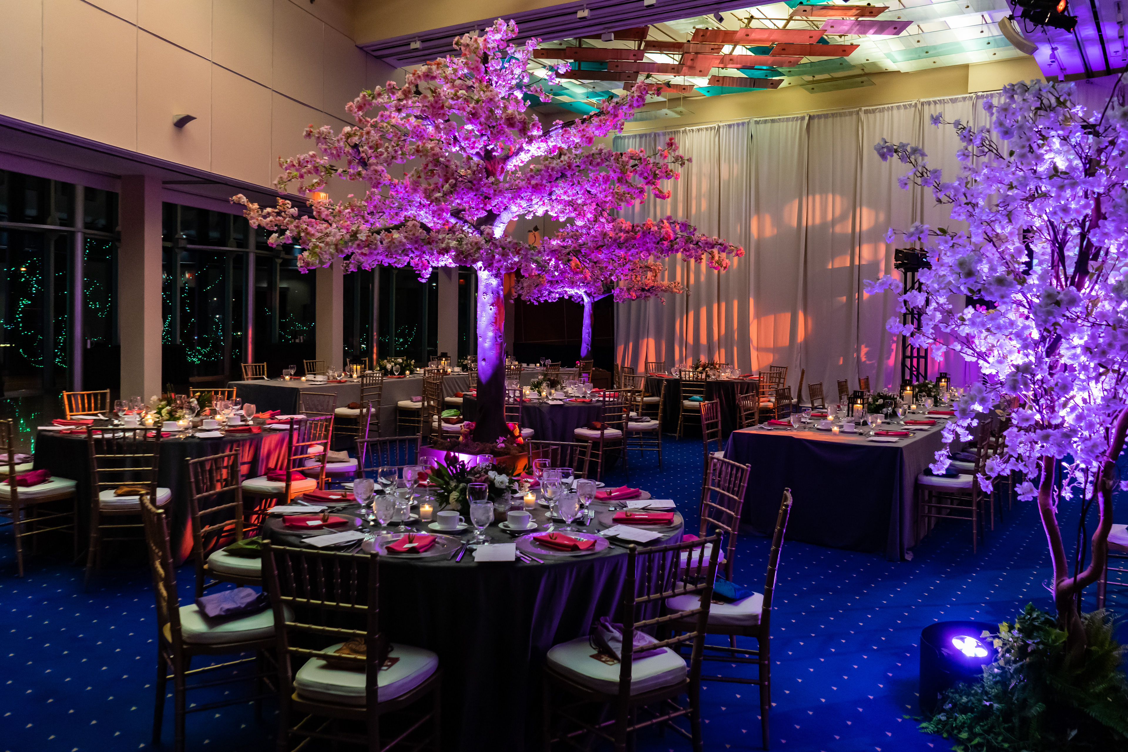 SITE Event At The Wall Centre