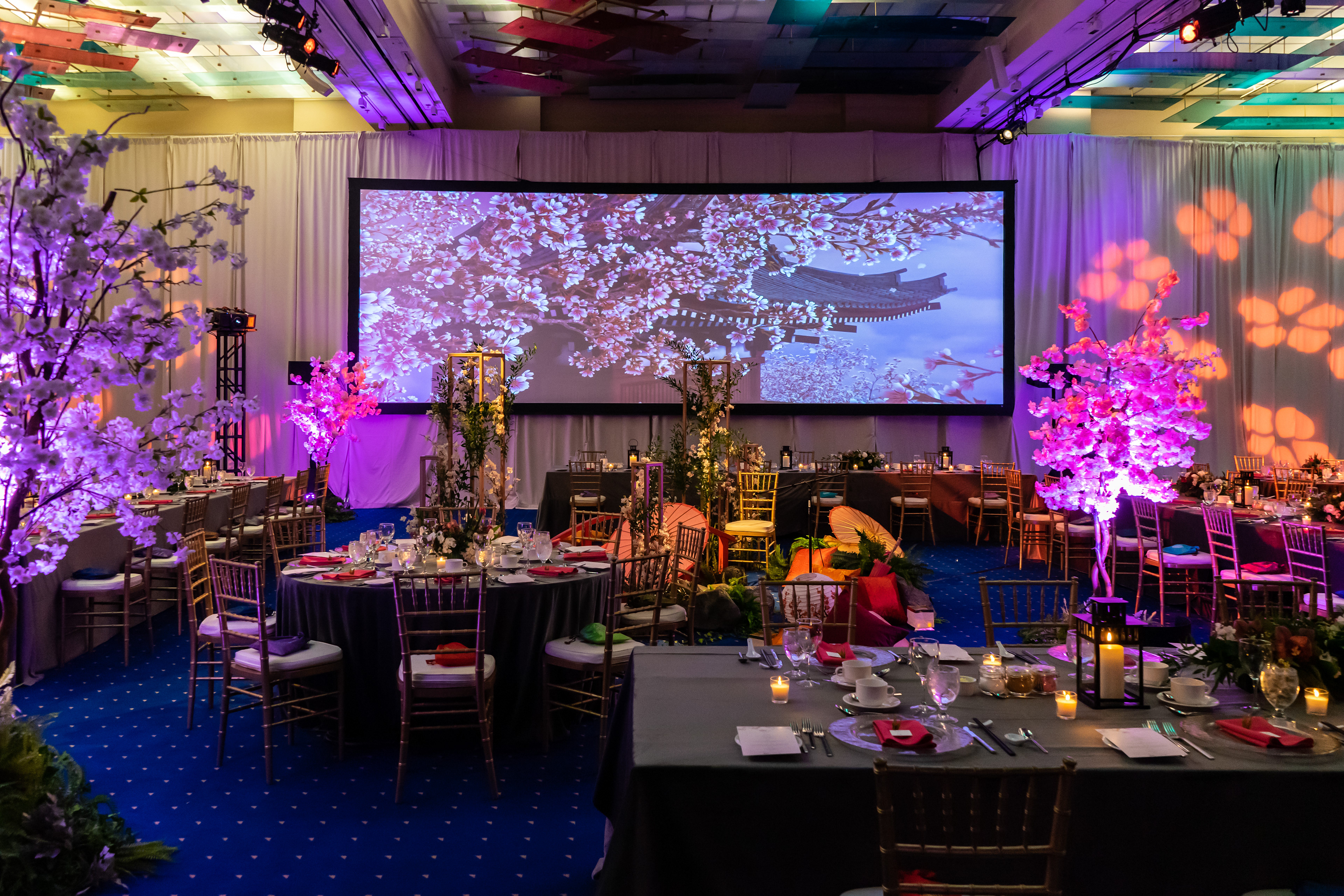 SITE Event At The Wall Centre