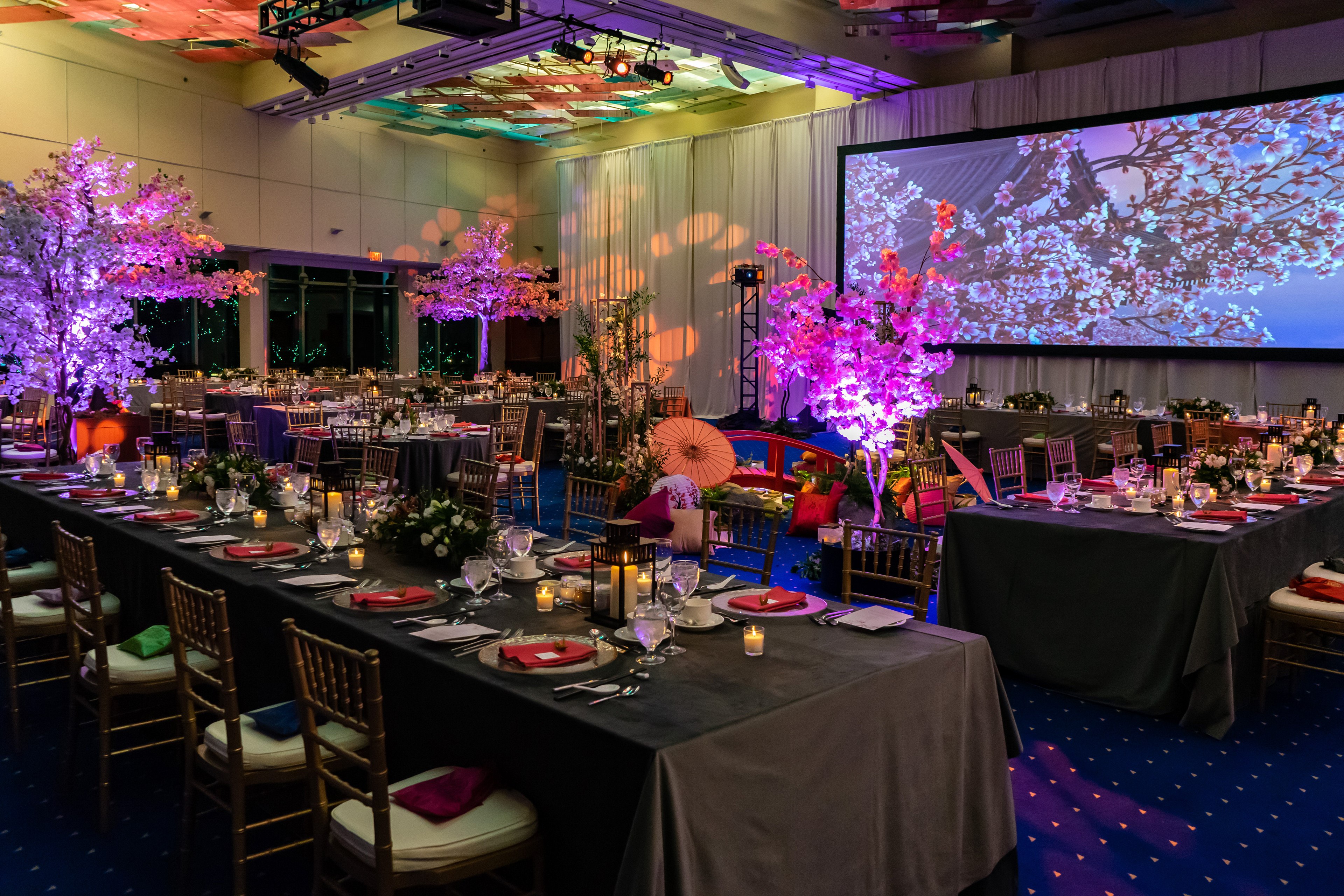SITE Event At The Wall Centre