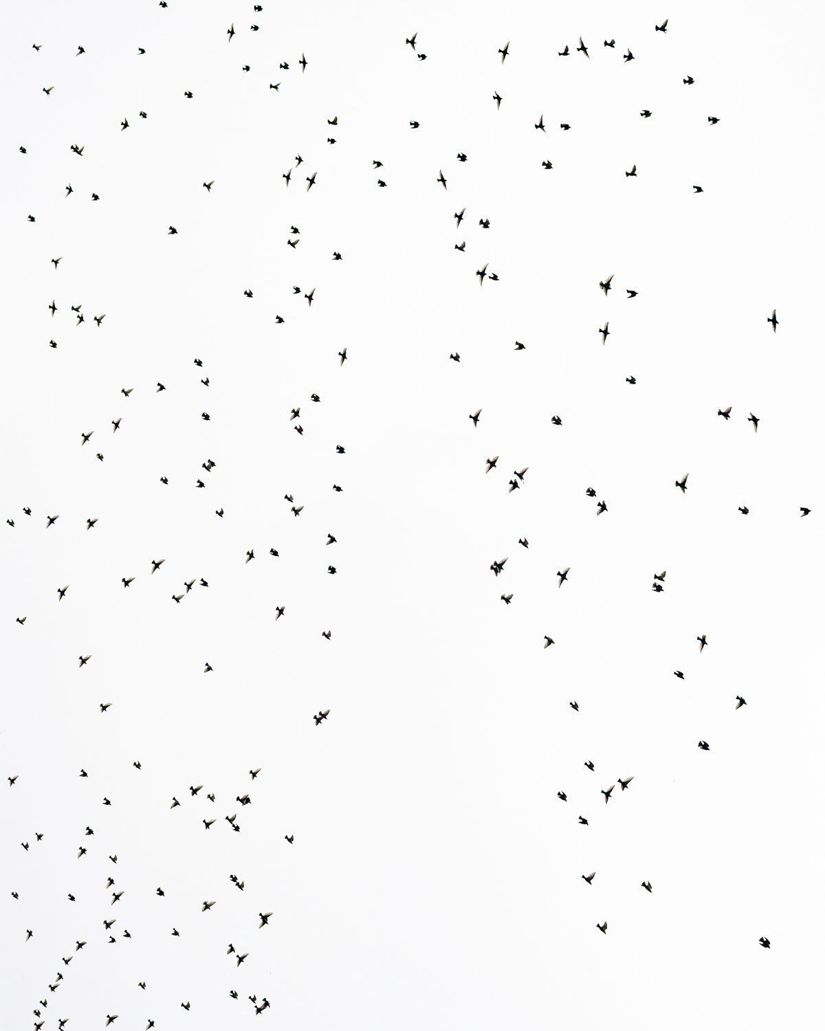 Codici di geometria esistenziale