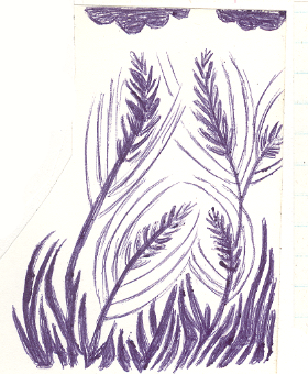 Wheat, Ballpoint Pen Drawing, 1985