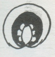 Eye Winks, Pen and Ink on Paper, 2007
