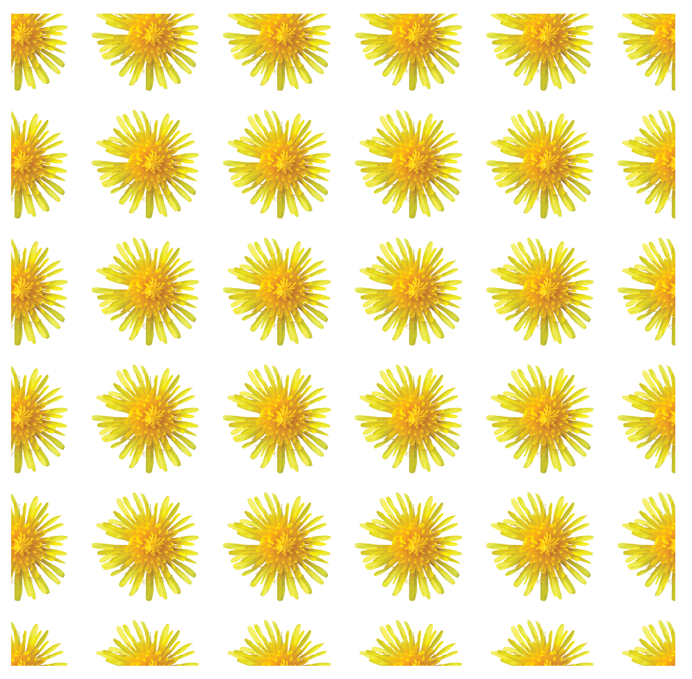 Dandelion Pattern, Digital Art, Pattern 1, 2020