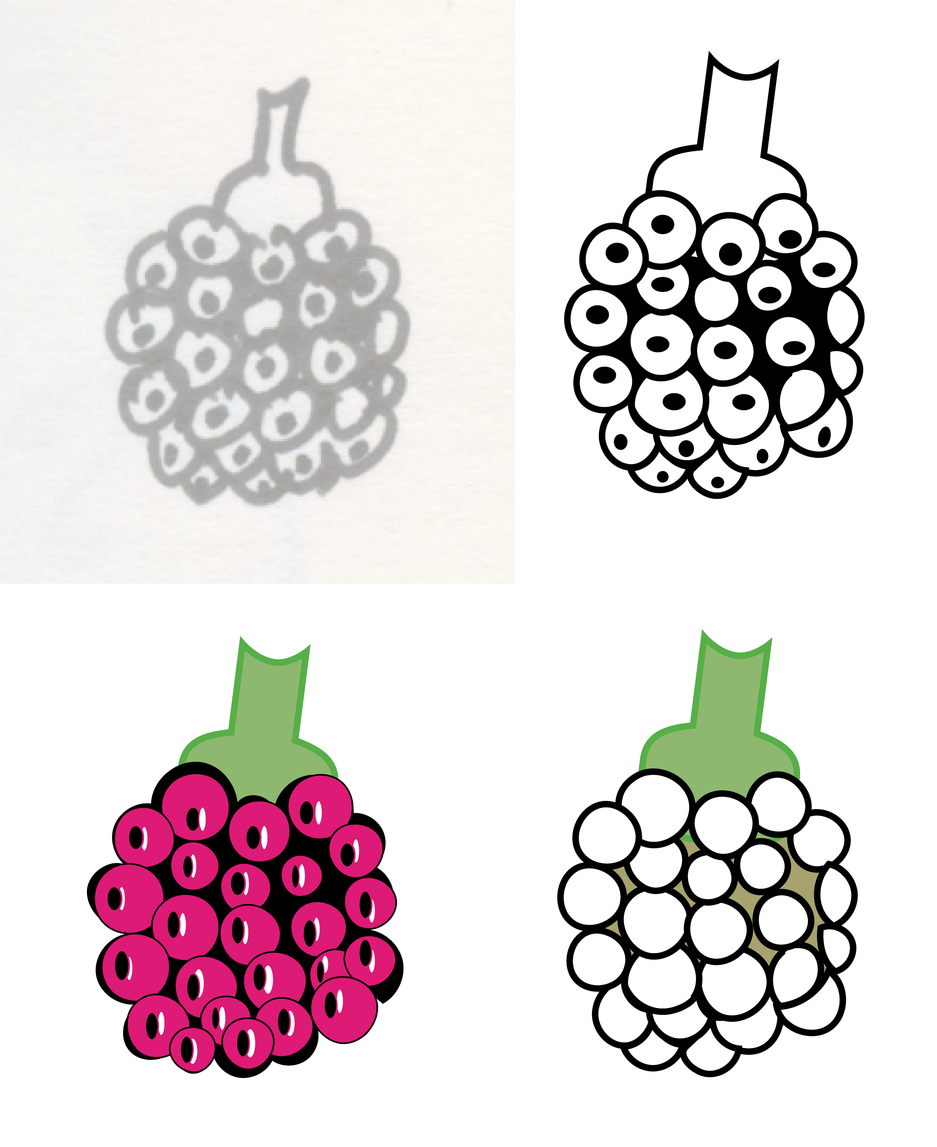Berry, three vector drawings with scanned berry on Illustrator Artboard, 2021