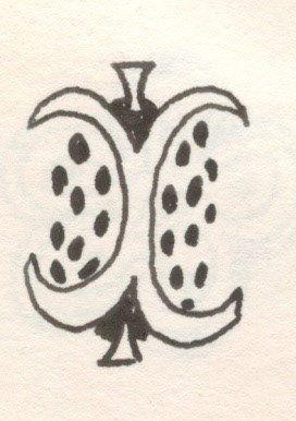 Apple Seeds, Pen and Ink on Paper, 2001