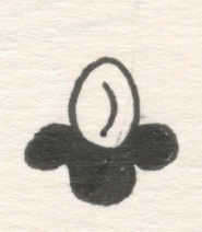 Candy Flower, Pen and Ink on Paper, 2007