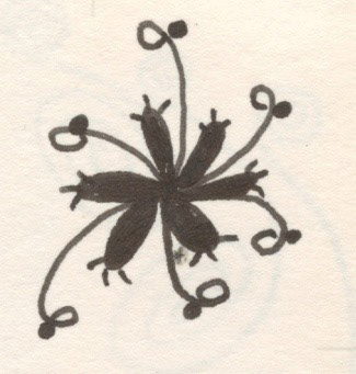 Alstromeria, Pen and Ink on Paper, 2001