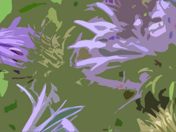 Manotick Wild Flower, Digital Art, 2009