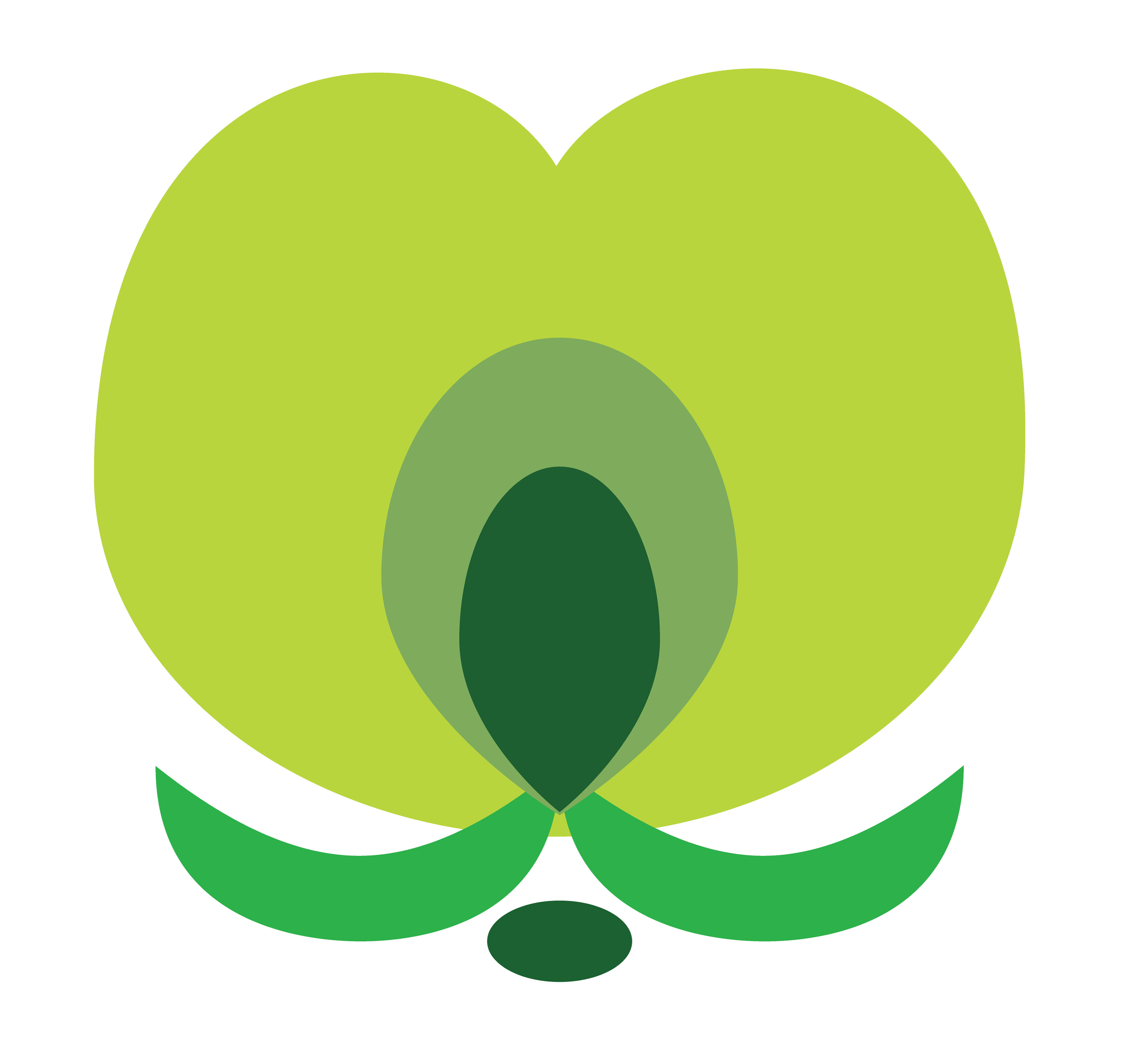 Cherry Bud, Vector Drawing 6, 2026