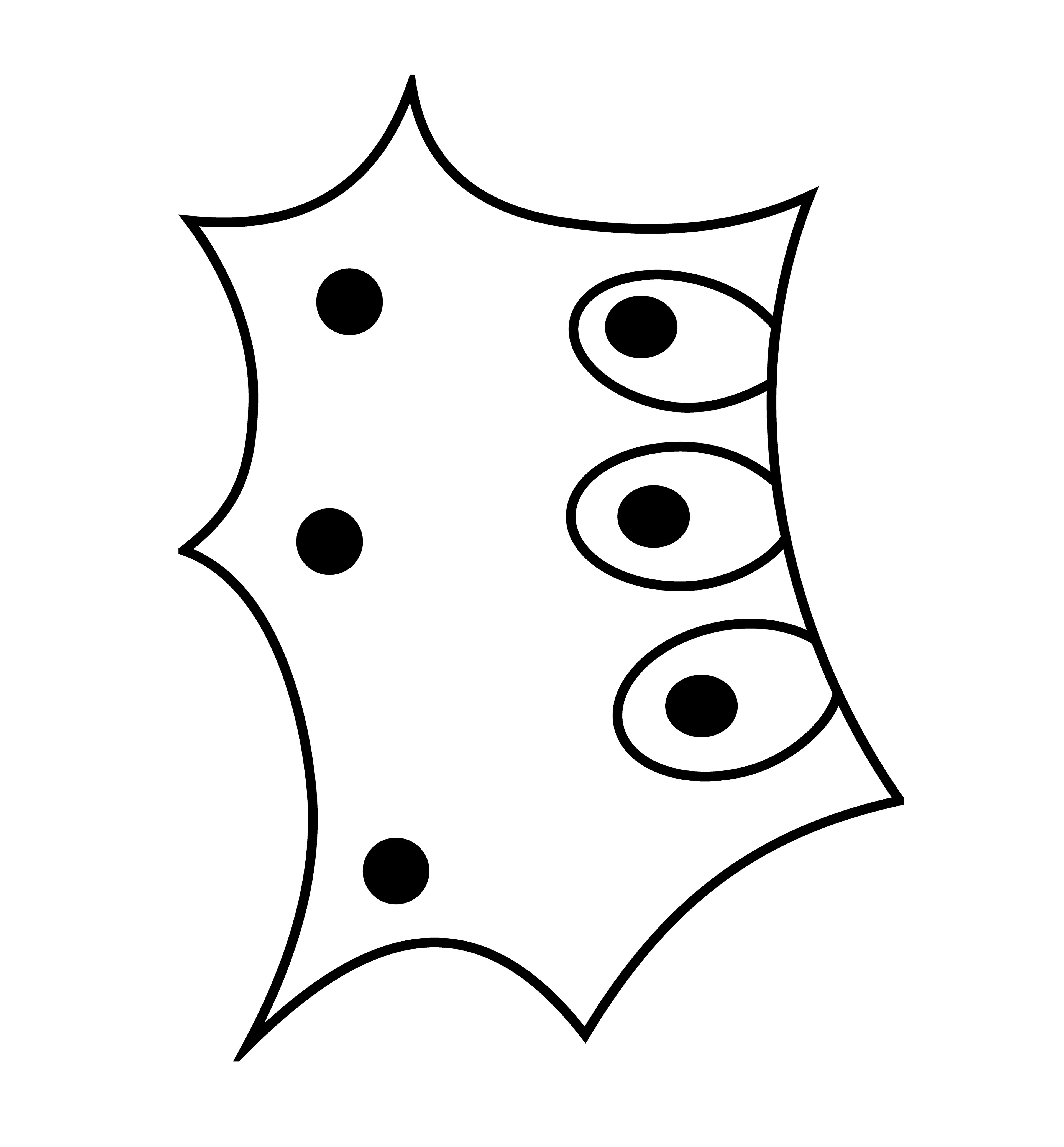 2002-04-09-c9 - Vector Drawing
