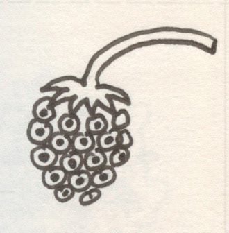 Blackberry, Pen and Ink on Paper, 2001