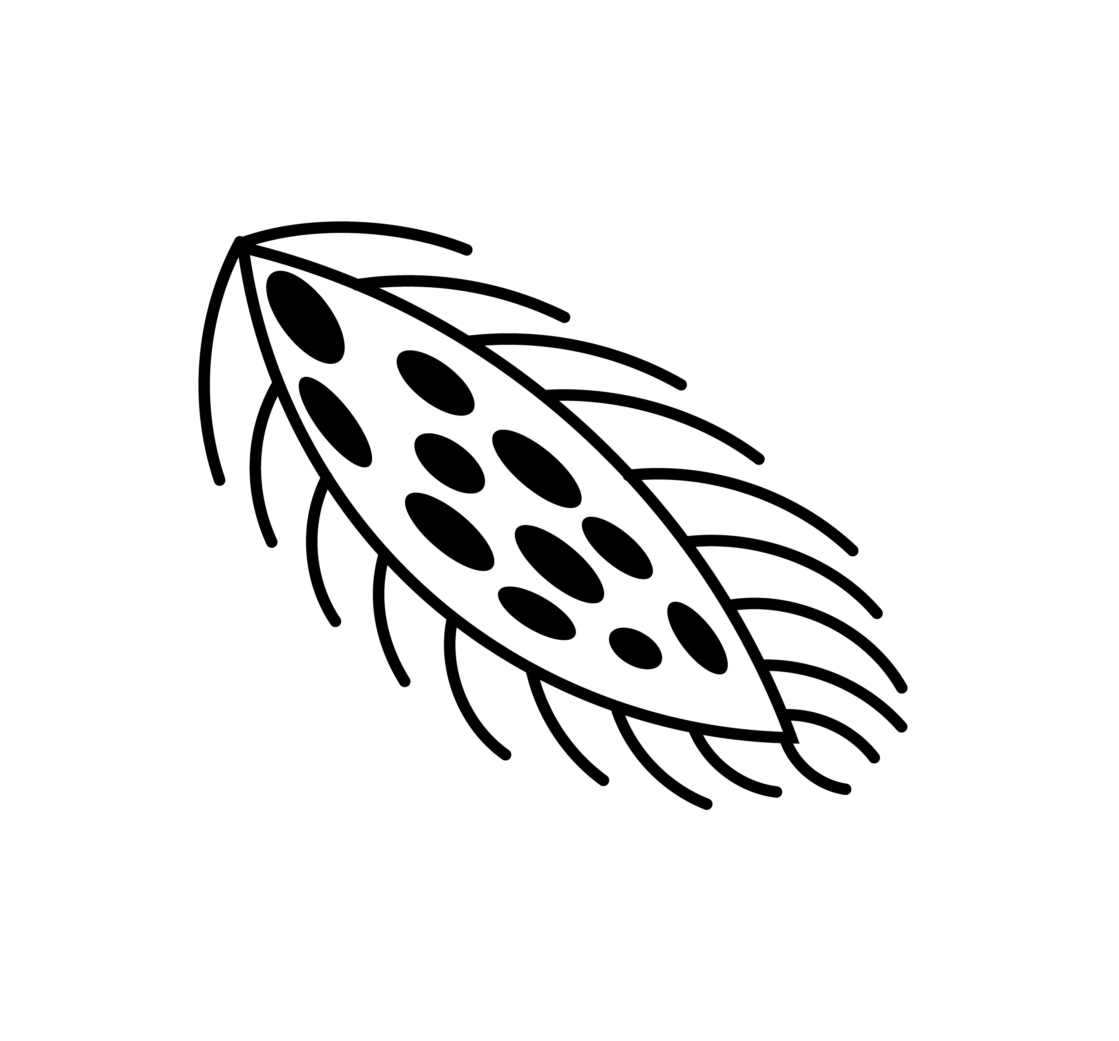 2001-05-04-a8 - Vector Drawing