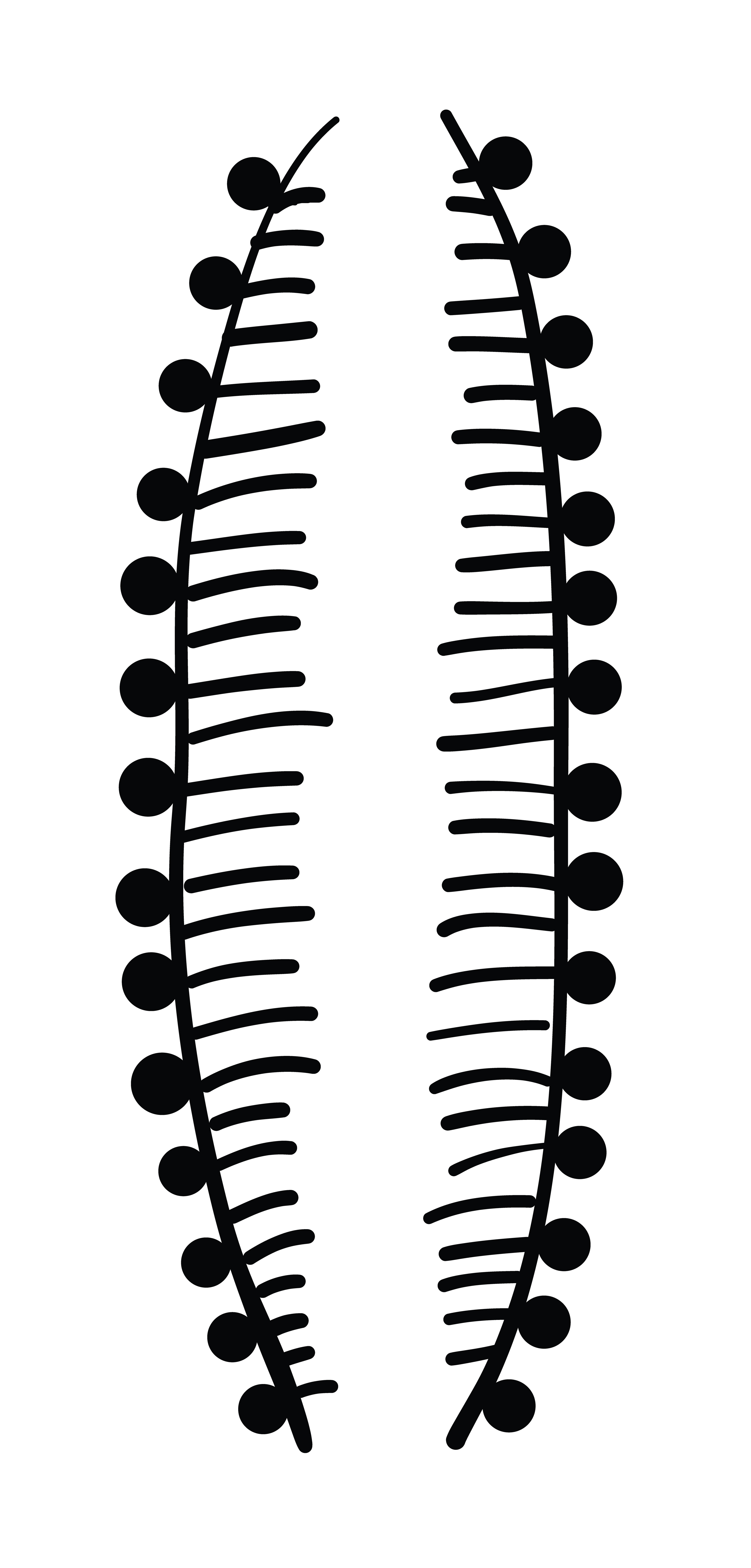 2002-03-16-a2 - Vector Drawing