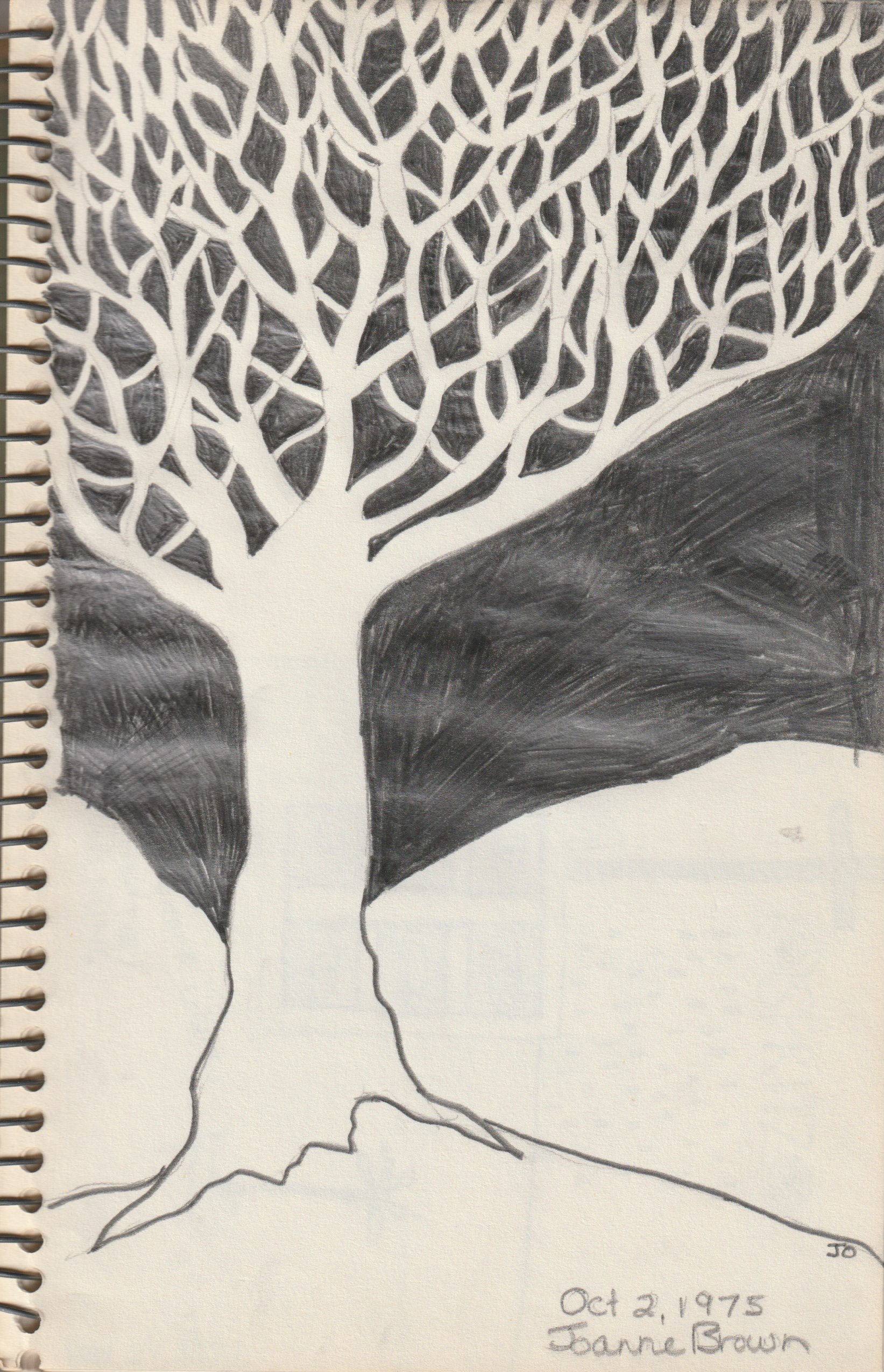 Glowing Tree, Pencil on Paper, 1975