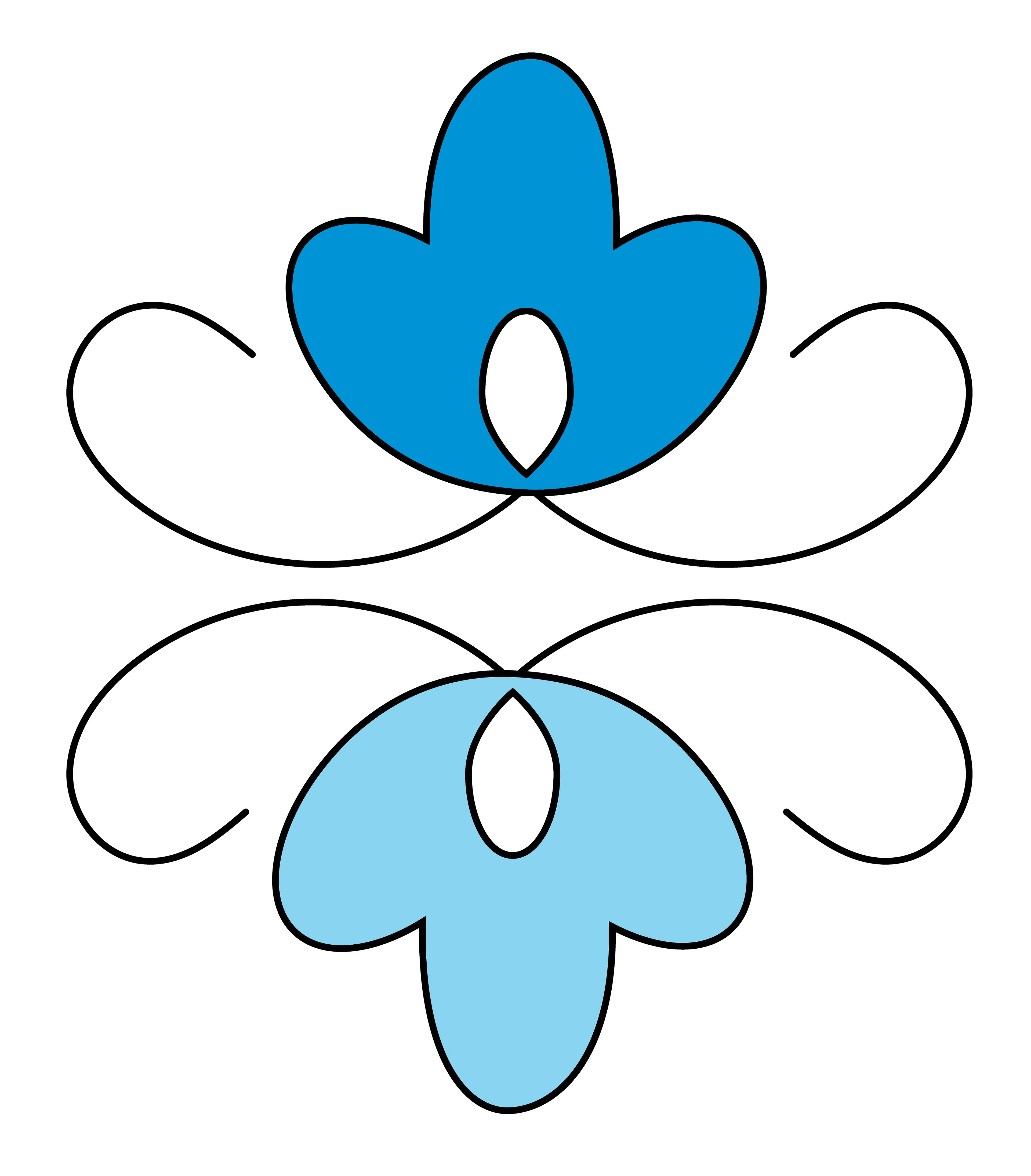 Bindweed, Vector Drawing 4, 2023
