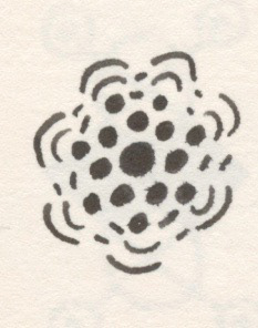 Floret, Pen and Ink on Paper, 2002