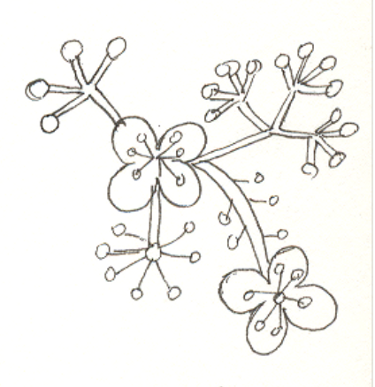 Drawing for Quilted Iron Railings, Pen and Ink, 1998