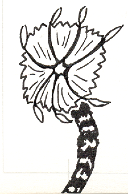 1993-01-02-a8, Pen and Ink Drawing, 1993