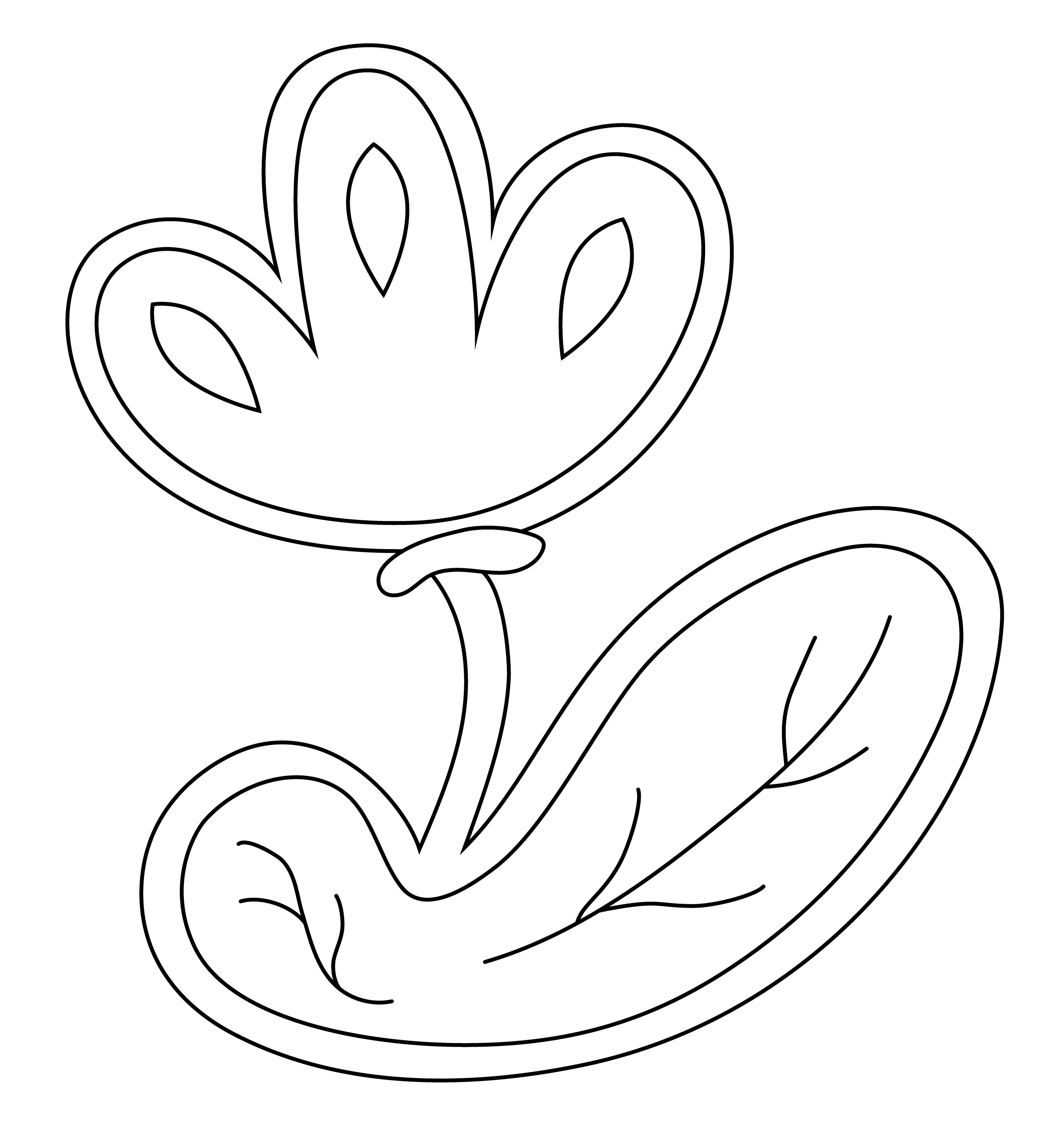 Flower Decal, Vector Drawing 1, 2025