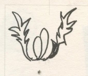 Flower Bud Wings, Pen and Ink on Paper, 2007