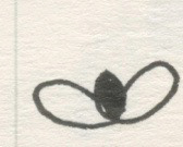 Flower Bees, Pen and Ink on Paper, 2007
