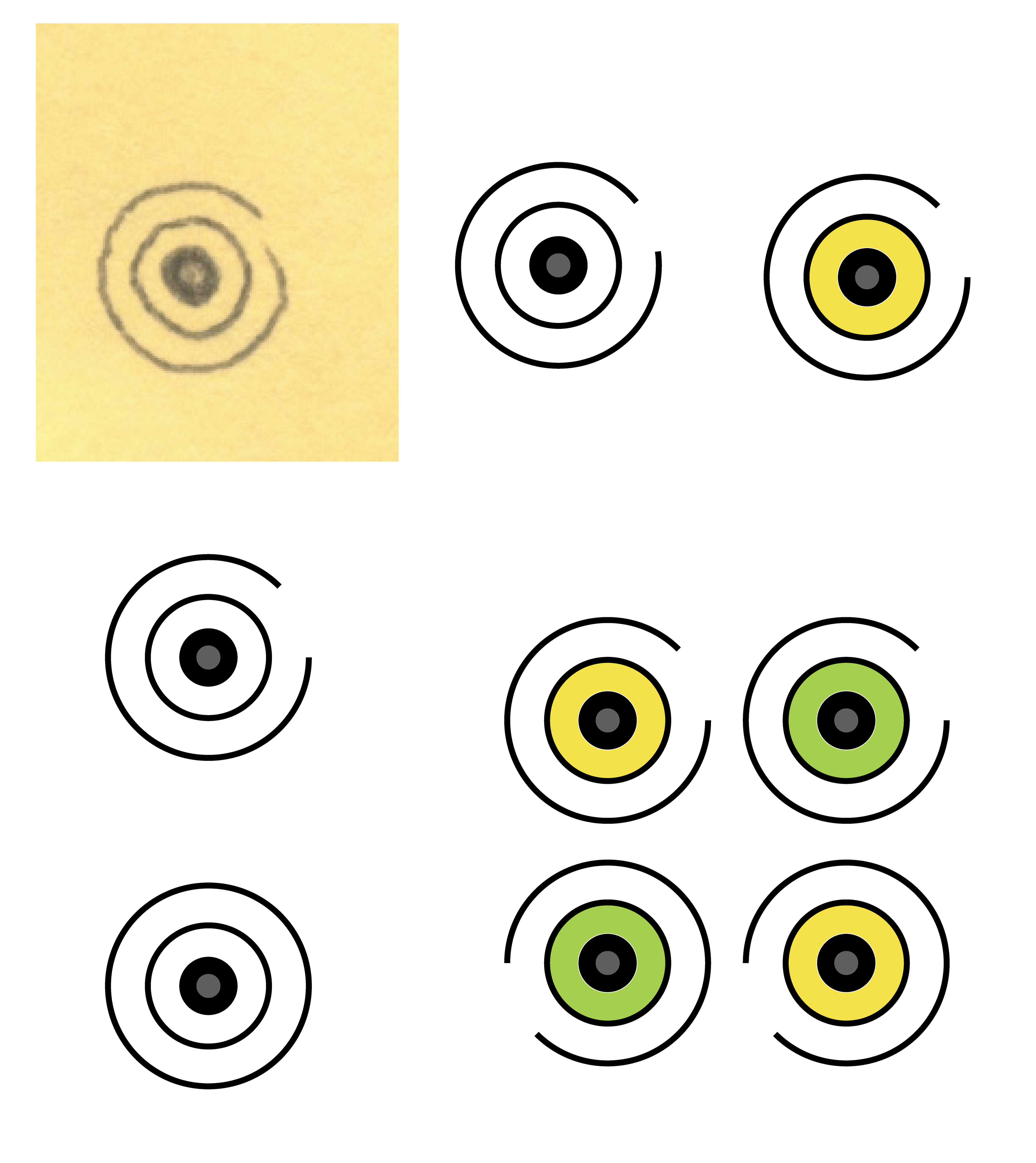 Sink Drain, Pen and Ink Drawing, 2003 with Illustrator Artboard, 2023