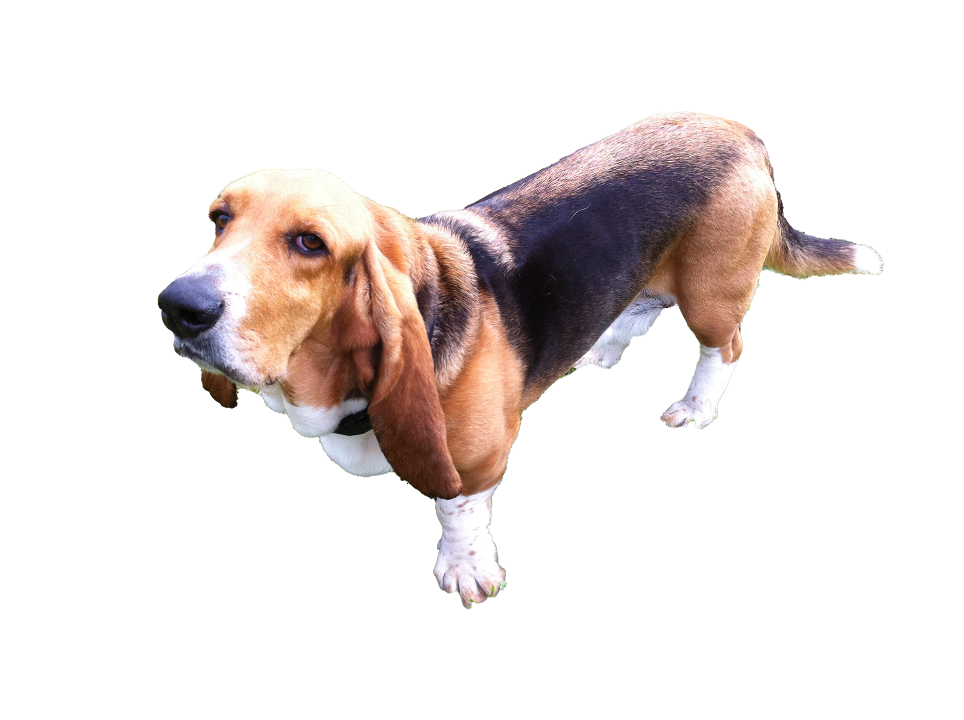 PhotoShop Mask of Flash, 2020