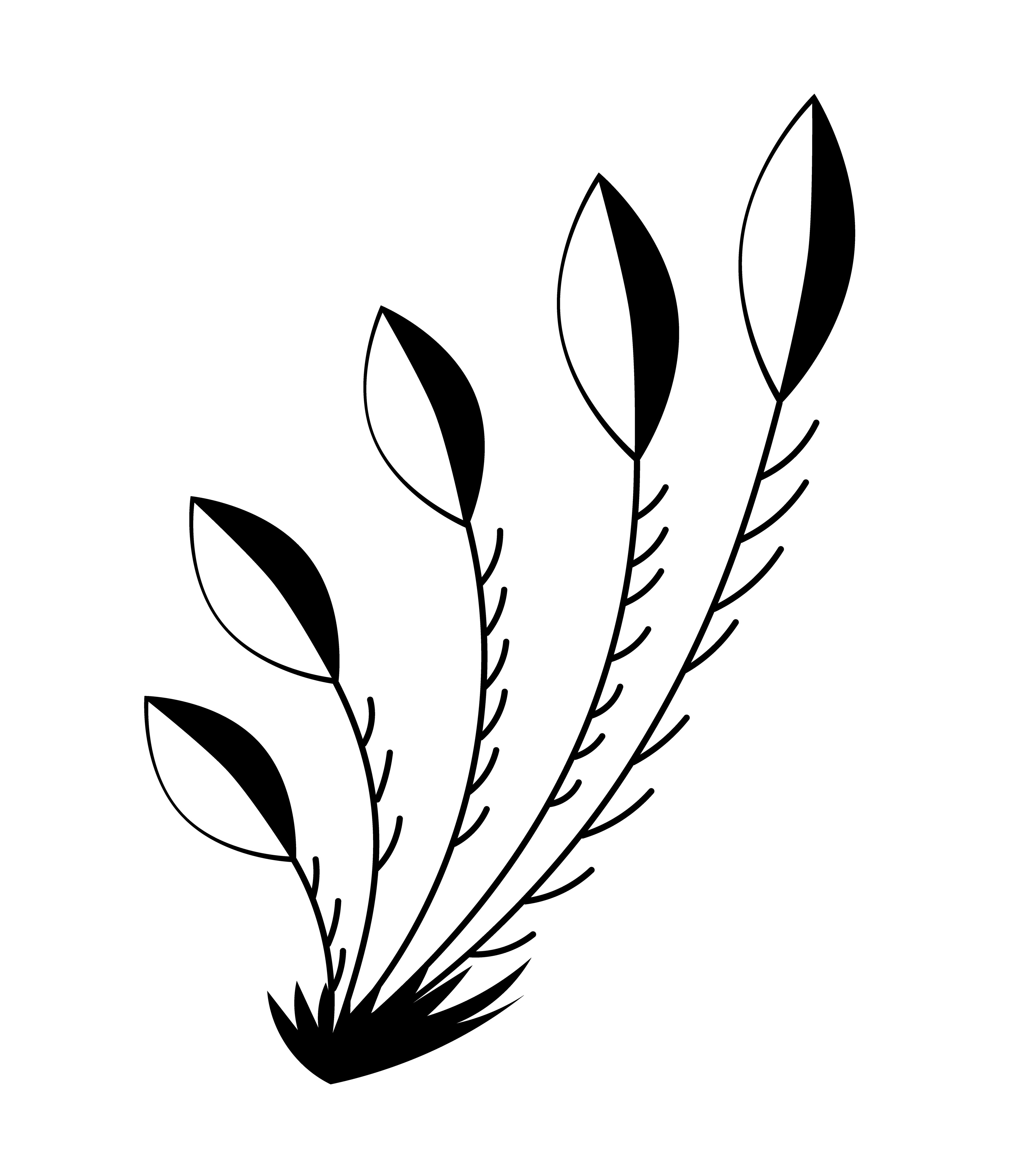 2002-05-27-b3 - Vector Drawing