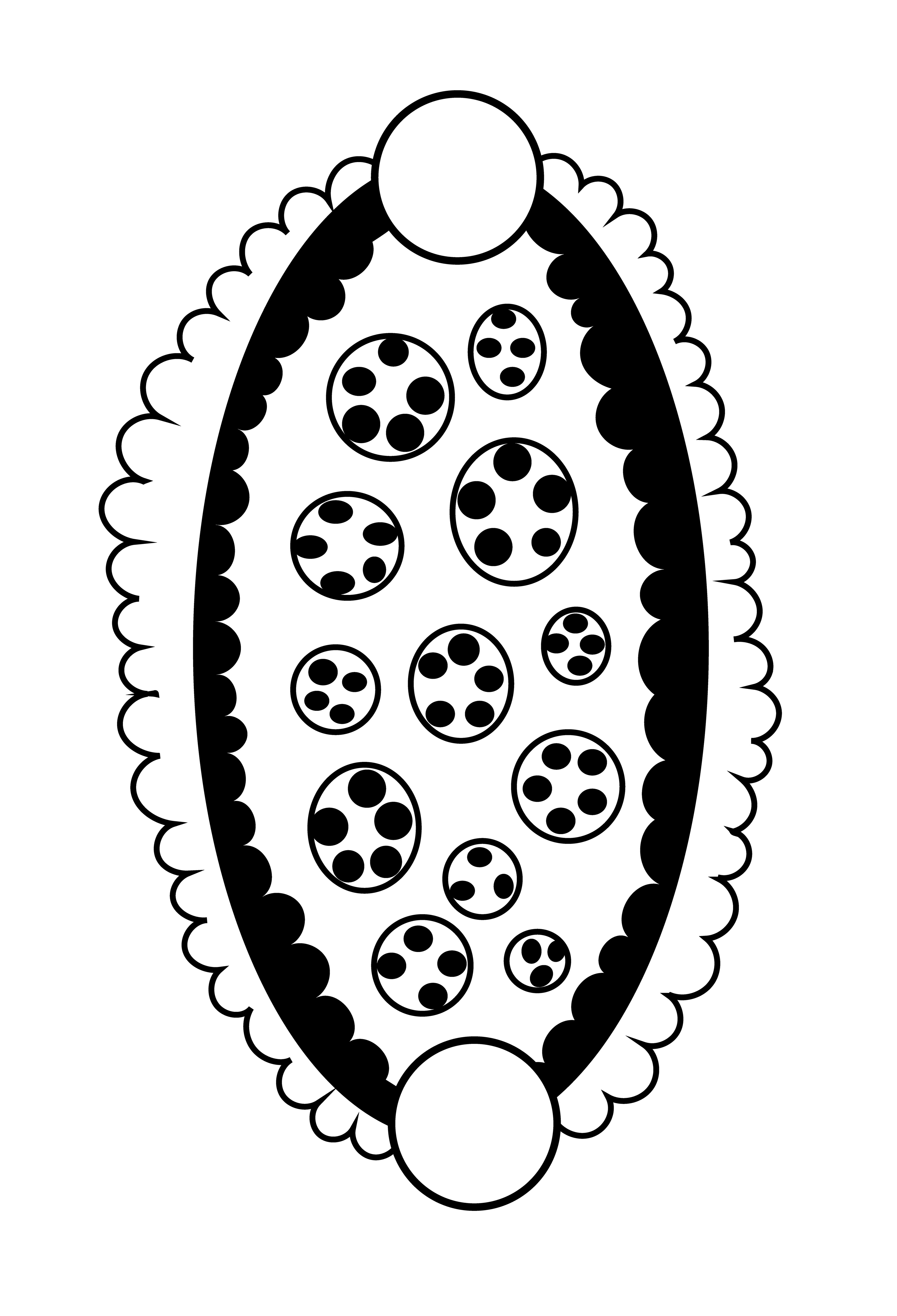 2001-04-24-a5 - Vector Drawing