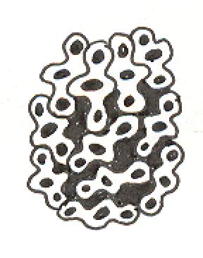 1998-06-21-c5, Pen and Ink on Paper, 1998