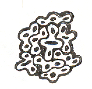 1998-06-21-c3, Pen and Ink on Paper, 1998