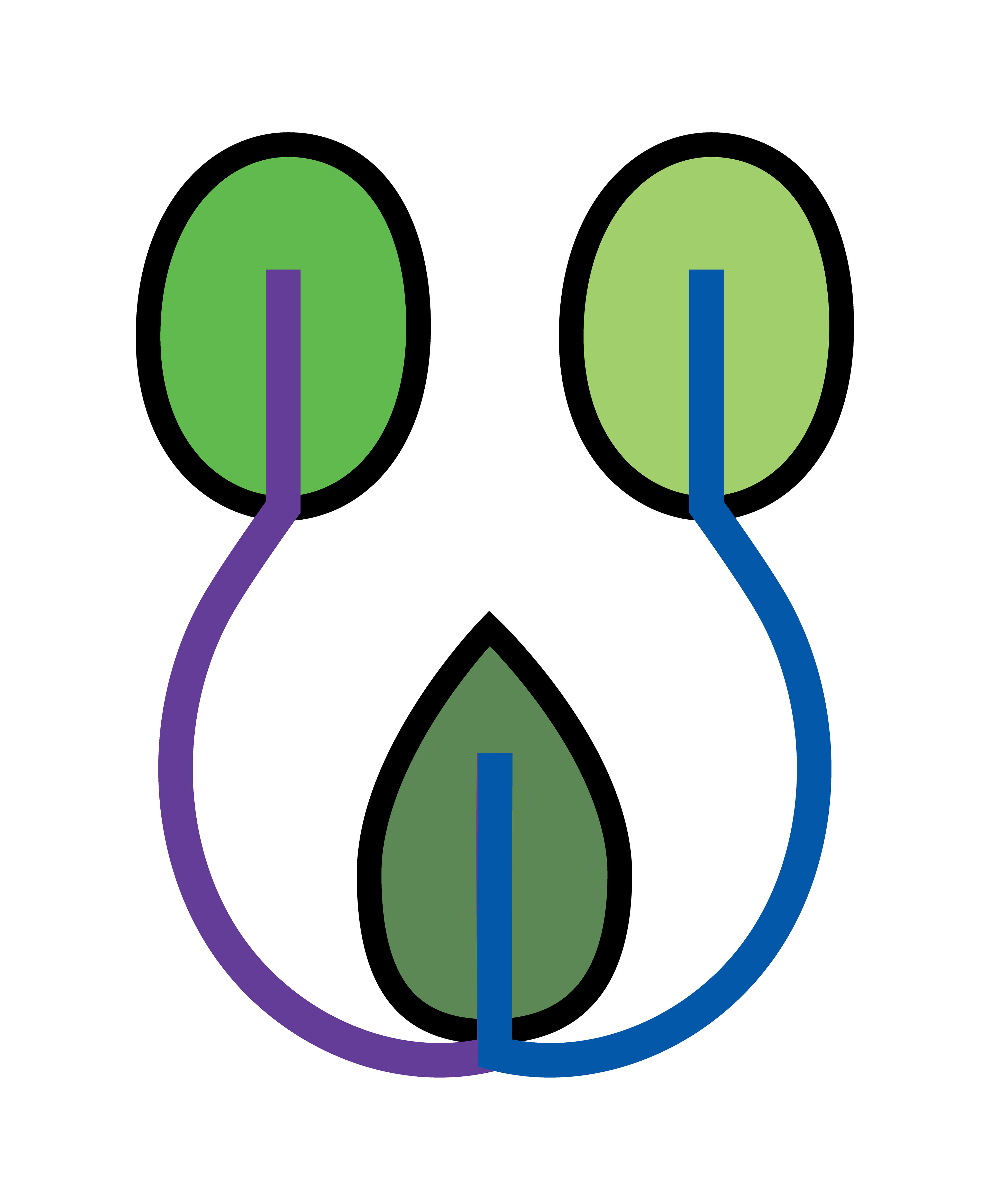 eafy Bird Face, Vector Drawing, 2023