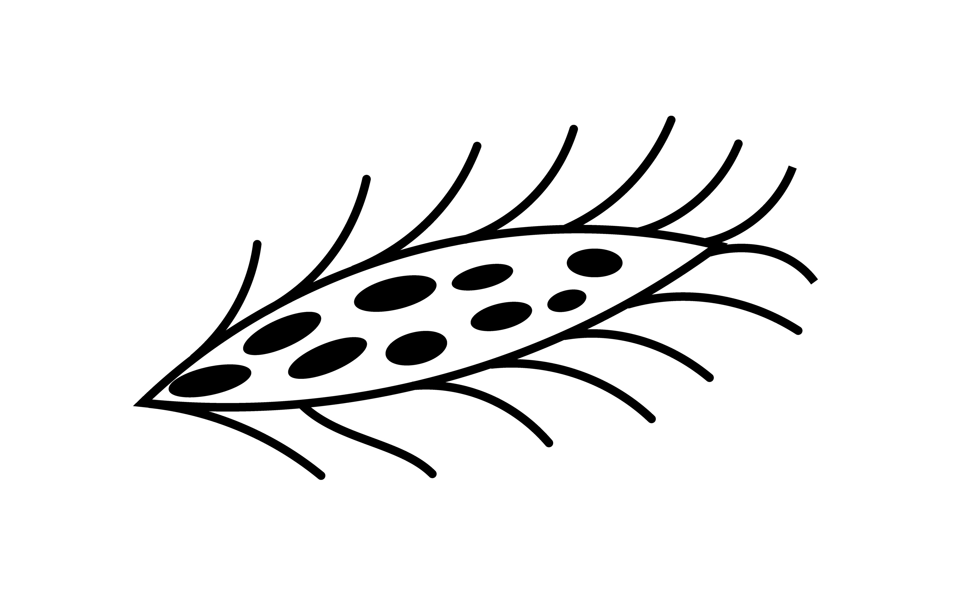 2001-05-04-a7 - Vector Drawing
