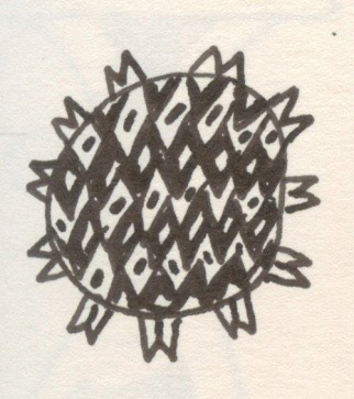 Sun Berry, Pen and Ink on Paper, 2001