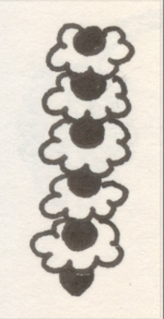 Ice Cream Cone Flowers, Pen and Ink, 2001