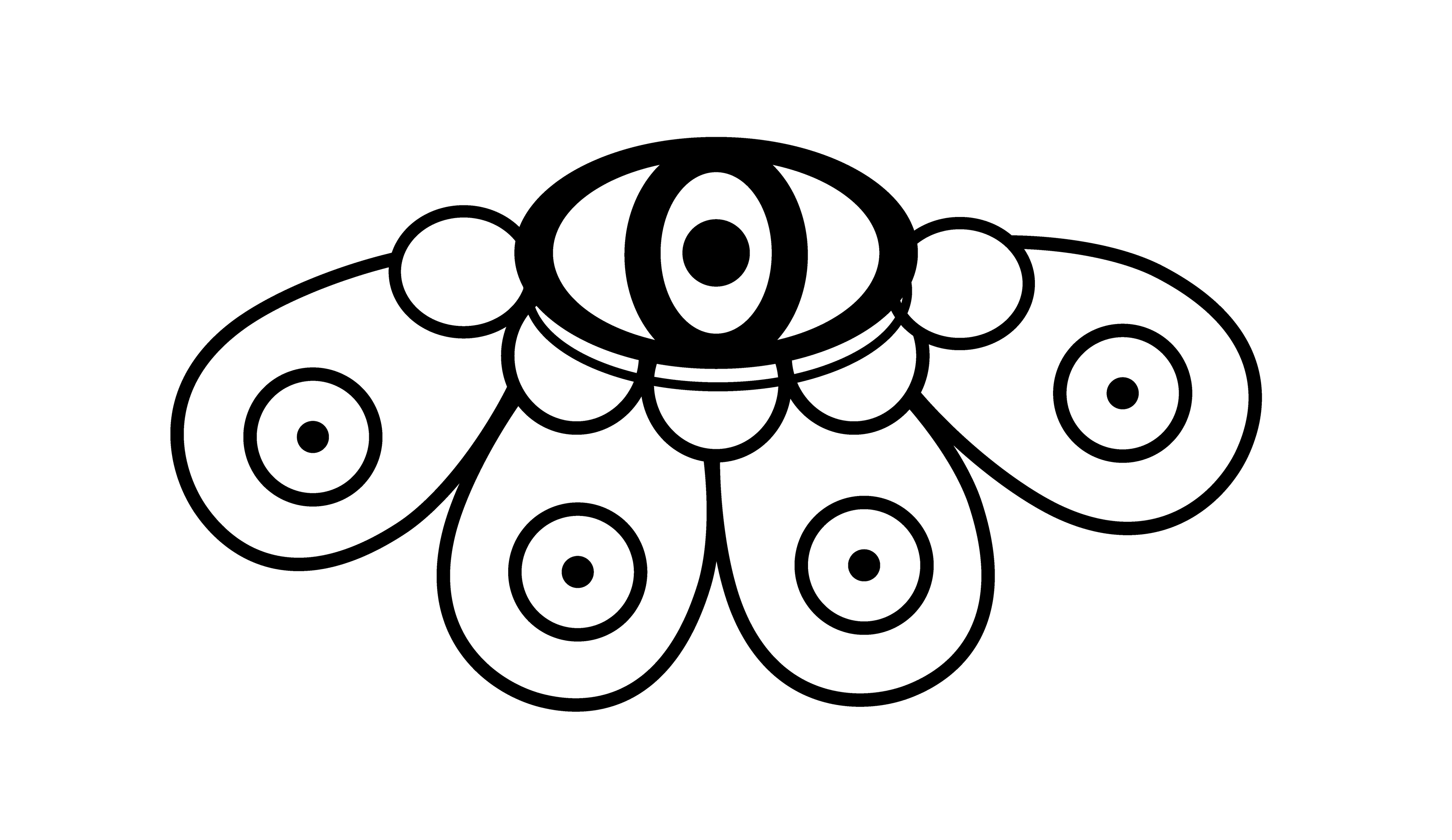 Flower Eye Flip, Vector Drawing 1, 2025