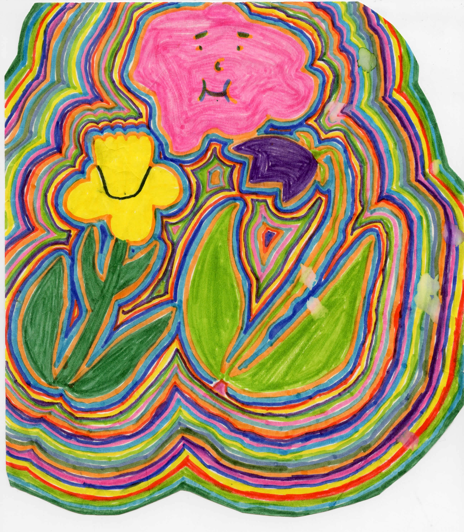 Daffodil Tulip Pink Cloud, Magic Marker, 1971
