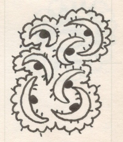 Cloud Moons, Pen and Ink on Paper, 2001
