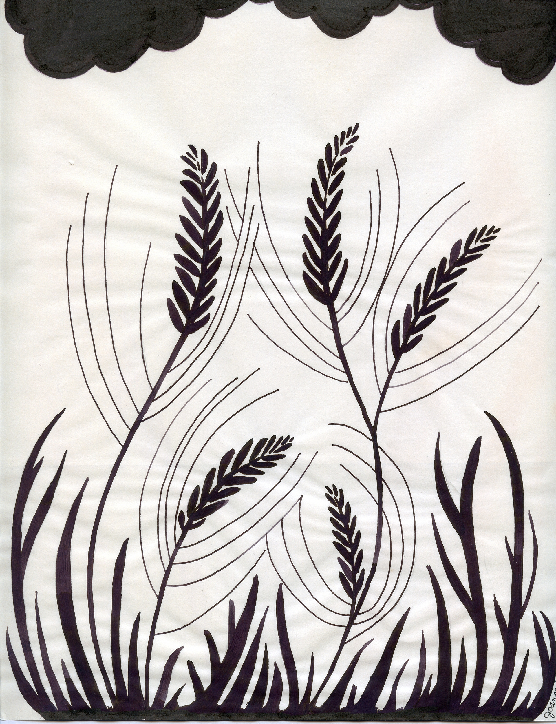 Wheat, Magic Marker on Vellum, 1985